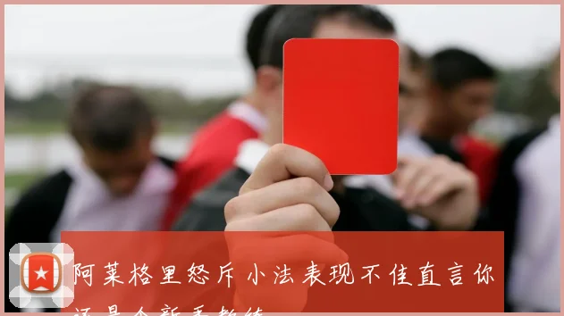 阿莱格里怒斥小法表现不佳直言你还是个新手教练