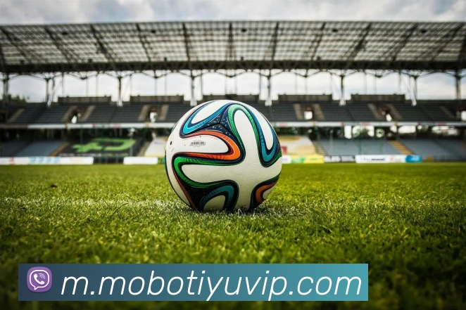 摩博体育平台生态图