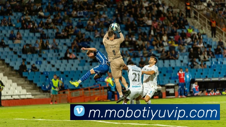 摩博体育APP 封面图